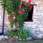 Casa Cicala Vakantiehuis Trarego